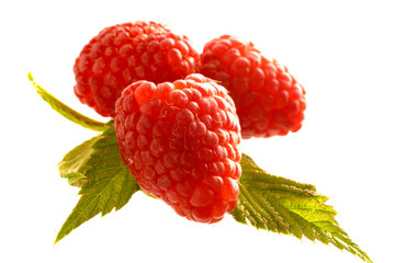 Framboises