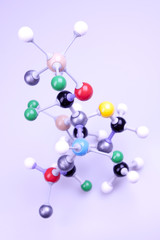 Molecular chain model