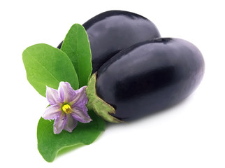 ripe eggplants