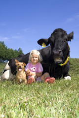 Kuh Kind und Hund