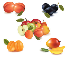 Group of fruit. Vector.