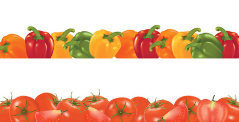 Vegetable design borders. Photo-realistic vector.