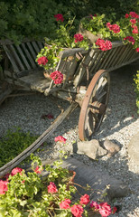 Fototapeta na wymiar Old wooden wagon filled with flowers