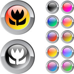 Macro multicolor round button.