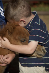 young boy hugging horse