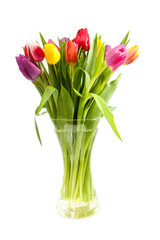 bouquet of Dutch tulips in vase over white background