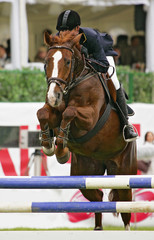 Horse sport