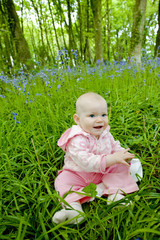 baby girl sitting on meadow