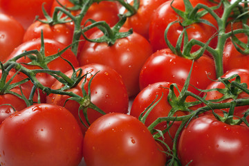 Red tomato food