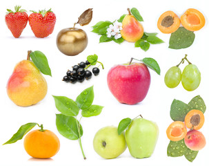 Mix of fruits on white background
