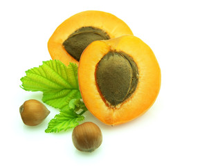 apricot with   wood nuts
