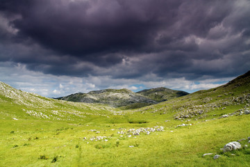 Fototapeta na wymiar Zelengora Mountain National Park w Sutjeska