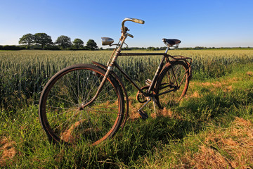 Obraz premium Old Bike