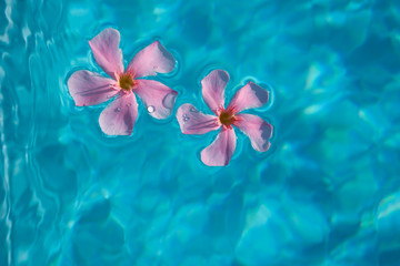 Fototapeta na wymiar Pływające kwiaty