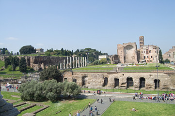 Fototapeta na wymiar Venuss panoramiczny Świątynia w Forum Romanum.