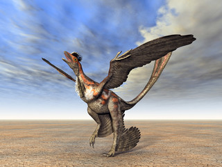 Microraptor