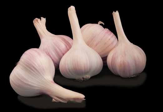 garlic on a black background
