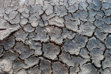 Trockenheit Dürre