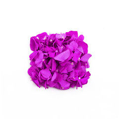 Obraz premium essenza profumata