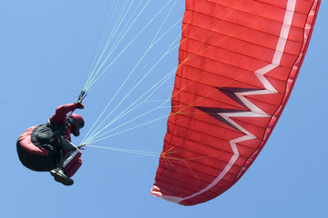 paraglider1 - obrazy, fototapety, plakaty