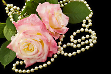 Pink Roses and Pearls