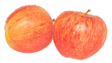 Apples