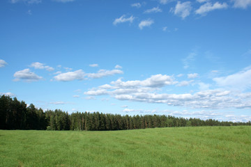 Blue sky and green field