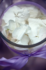 Composition with orchid petals in glass vase