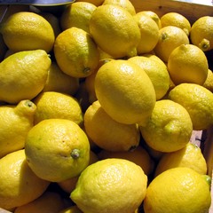Citrons du marché