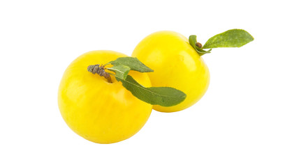 yellow plum isolated in white background