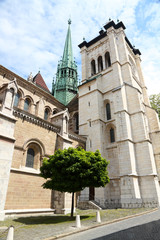 Fototapeta na wymiar cathedral St. Peter in Geneva