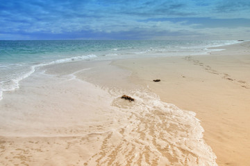 Obraz na płótnie Canvas Beach Landscape