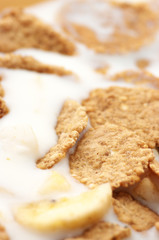Breakfast cereal close-up