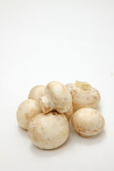 mushroom