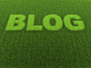 Grass Blog