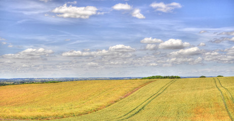 HDR View from Dunstable Downs