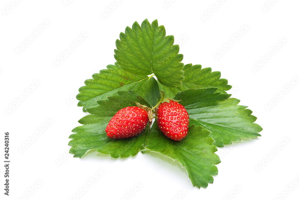 Wall mural Fresh strawberry fruits with green leaves