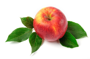 apple red with leaf on a white background