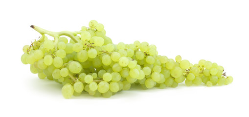 branch of green grapes .