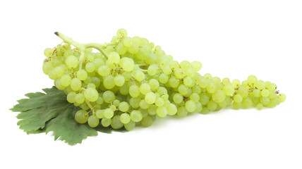 branch of green grapes