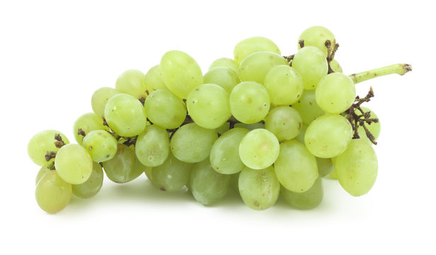 branch of green grapes