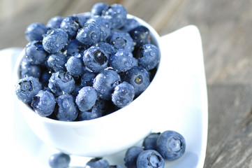 Blaubeeren Vaccinium myrtillus Heidelbeeren