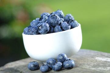 Blaubeeren Vaccinium myrtillus Heidelbeeren