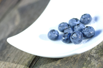 Blaubeeren Vaccinium myrtillus Heidelbeeren