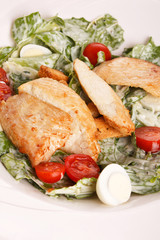 Vegetable salad with chicken