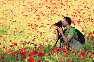 Photographer in poppy field