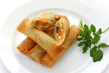 Fried Chinese Traditional Spring rolls