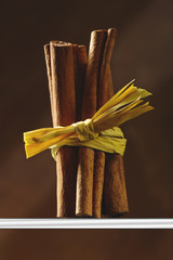 Cannelle