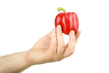 The man's hand holds sweet red pepper