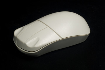 Mysz © Skibek